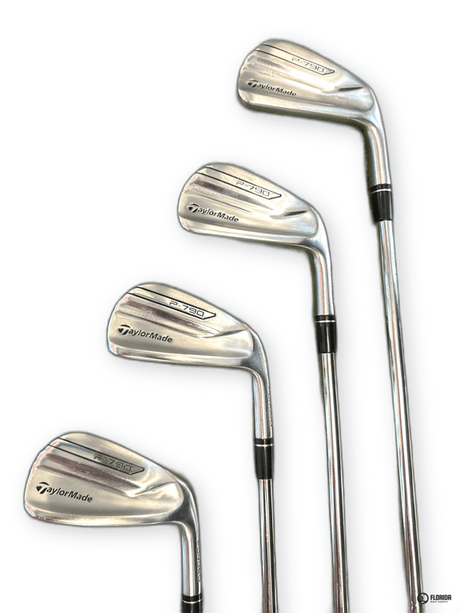 TaylorMade P790 Iron Set Dynamic Gold S300 Shaft Golf Pride New Decade MCC Std Grip Right image 1